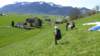 p1010279_small.jpg