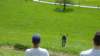 p1010287_small.jpg