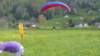p1010317_small.jpg