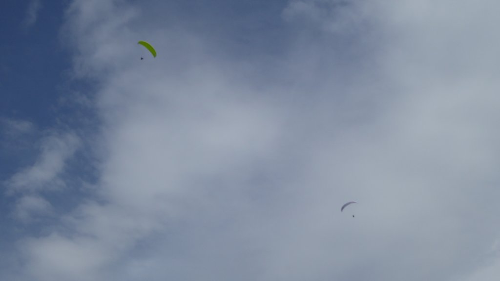 p1010329.jpg