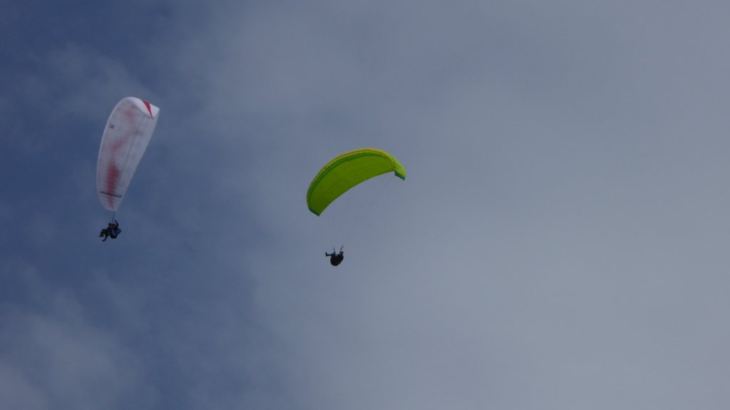 p1010330.jpg