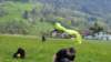 p1010339_small.jpg