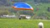 p1010350_small.jpg