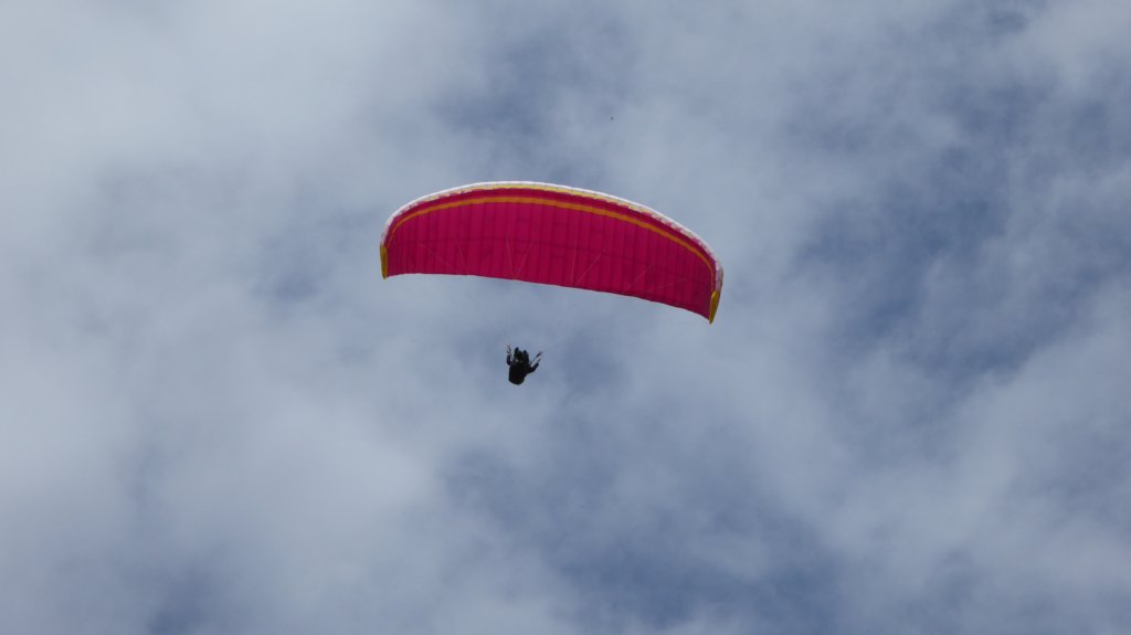 p1010351.jpg