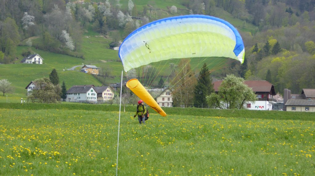 p1010360.jpg
